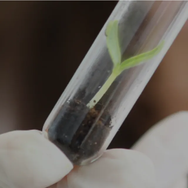 Soil science research and journal publication