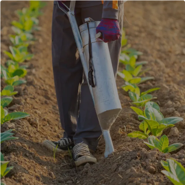 Close-up of fertile soil for World Soil Day